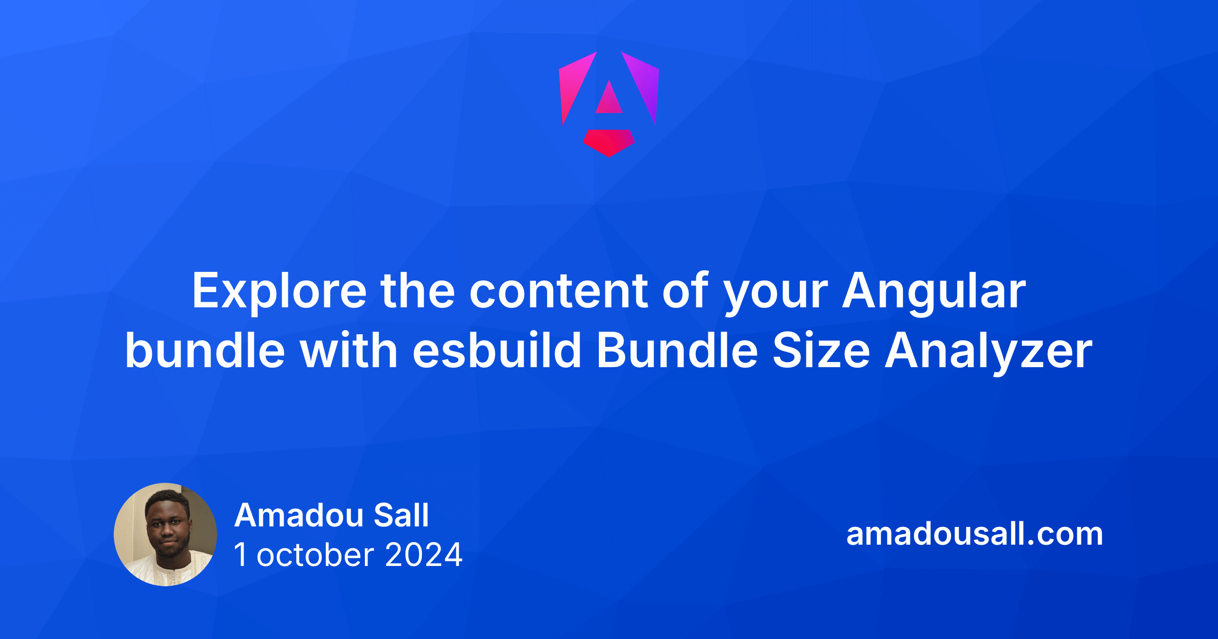 Explore the content of your Angular bundle with esbuild Bundle Size Analyzer